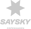 SAYSKY